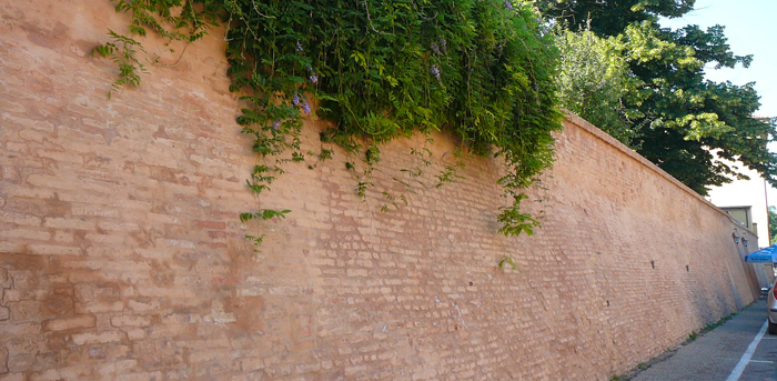 The ancient town wall restored  